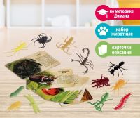Обучающий набор «В мире насекомых» с карточками